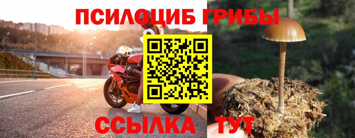 Галлюциногенные грибы Psilocybe Сарапул